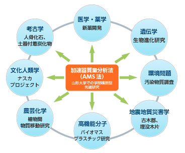 加速器質量分析法を用いた研究分野